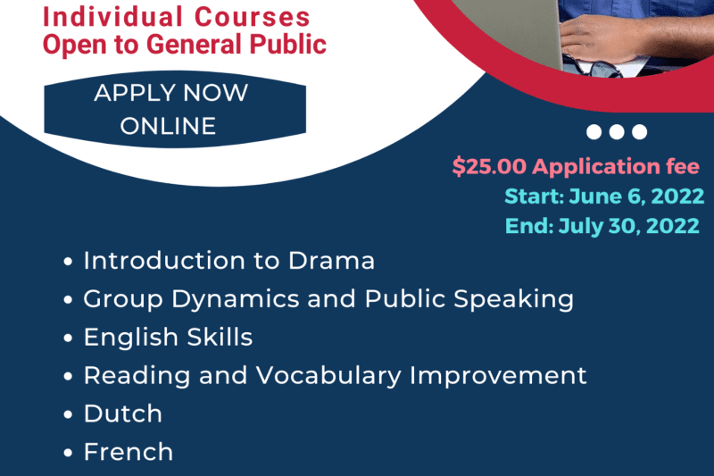 Summer individual courses